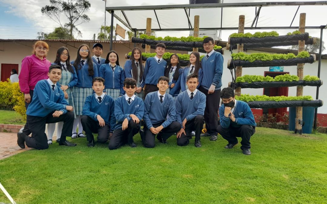 Proyecto Hidropónico TACUARA